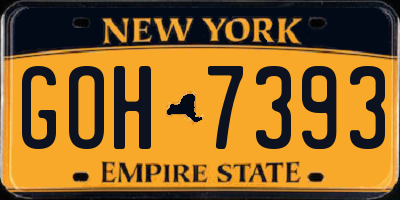 NY license plate GOH7393