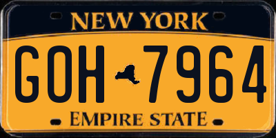 NY license plate GOH7964