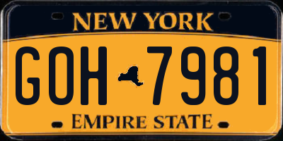 NY license plate GOH7981