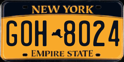 NY license plate GOH8024