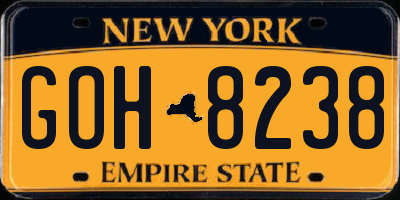 NY license plate GOH8238