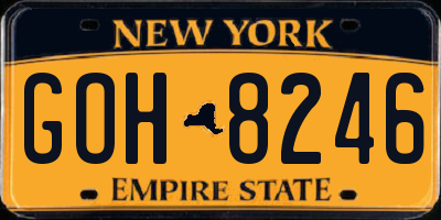 NY license plate GOH8246