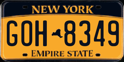 NY license plate GOH8349