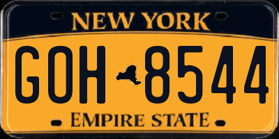 NY license plate GOH8544