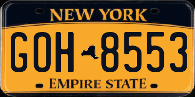 NY license plate GOH8553
