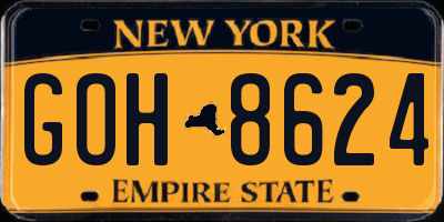 NY license plate GOH8624