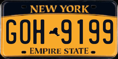 NY license plate GOH9199