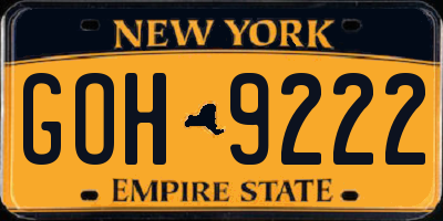 NY license plate GOH9222