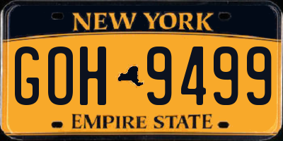 NY license plate GOH9499