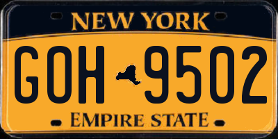 NY license plate GOH9502