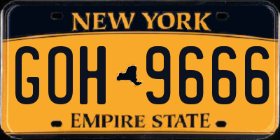NY license plate GOH9666