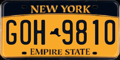 NY license plate GOH9810