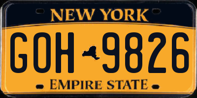 NY license plate GOH9826
