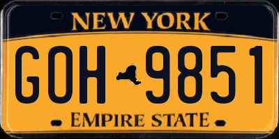 NY license plate GOH9851