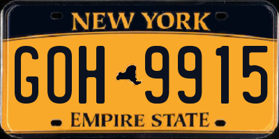 NY license plate GOH9915