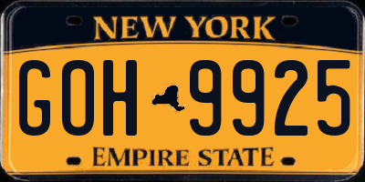 NY license plate GOH9925
