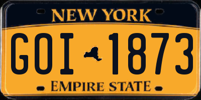 NY license plate GOI1873