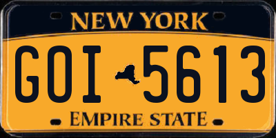 NY license plate GOI5613
