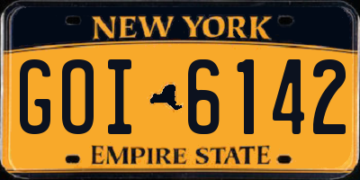NY license plate GOI6142