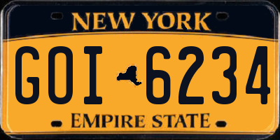 NY license plate GOI6234