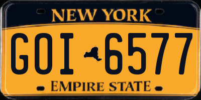 NY license plate GOI6577