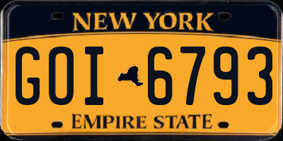 NY license plate GOI6793