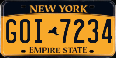 NY license plate GOI7234