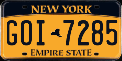 NY license plate GOI7285