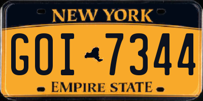 NY license plate GOI7344