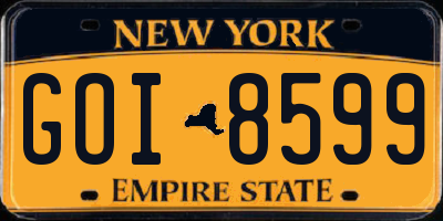 NY license plate GOI8599