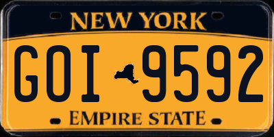 NY license plate GOI9592