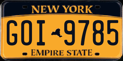 NY license plate GOI9785