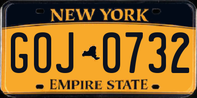NY license plate GOJ0732