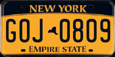 NY license plate GOJ0809