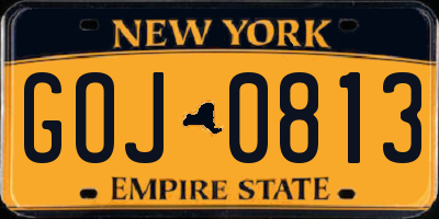 NY license plate GOJ0813