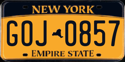 NY license plate GOJ0857