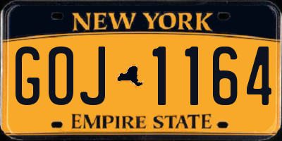 NY license plate GOJ1164