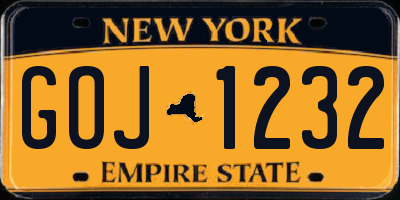 NY license plate GOJ1232