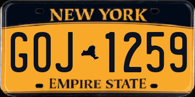 NY license plate GOJ1259
