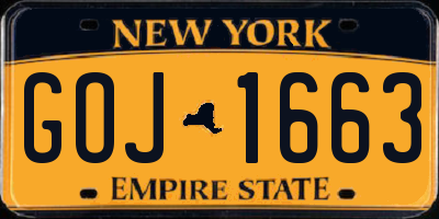 NY license plate GOJ1663