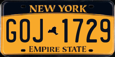 NY license plate GOJ1729