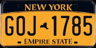 NY license plate GOJ1785