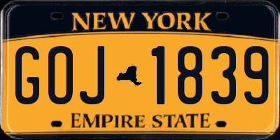 NY license plate GOJ1839