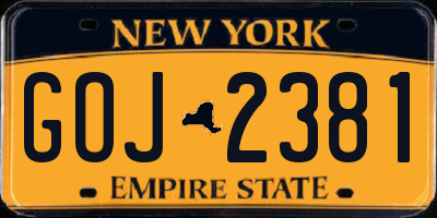 NY license plate GOJ2381