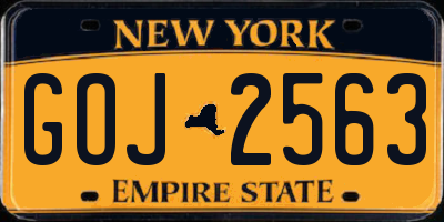 NY license plate GOJ2563
