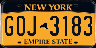 NY license plate GOJ3183