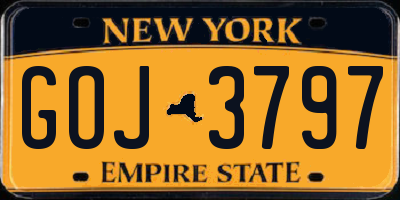 NY license plate GOJ3797