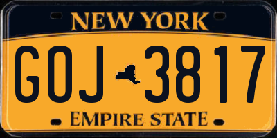 NY license plate GOJ3817