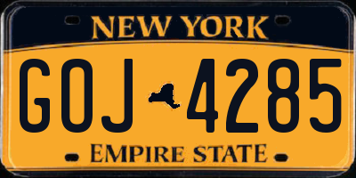 NY license plate GOJ4285
