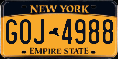 NY license plate GOJ4988